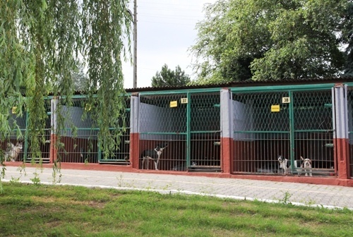 Odnowione boksy w schronisku dla zwierząt